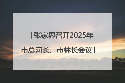 张家界召开2025年市总河长、市林长会议